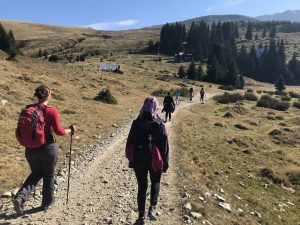 How To Improve Productivity By Taking A Hike