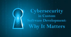 custom software development